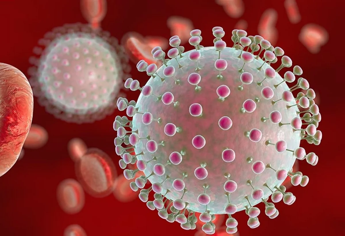 Dünyada ən geniş yayılmış virus haqqında nələr məlumdur?