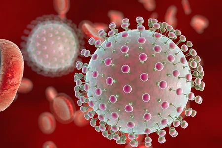 Dünyada ən geniş yayılmış virus haqqında nələr məlumdur?