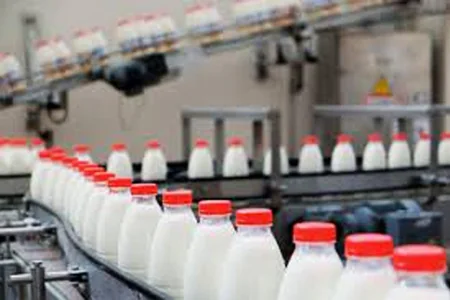 Azərbaycanda süd istehsalı demək olar ki, “yerində sayıb”