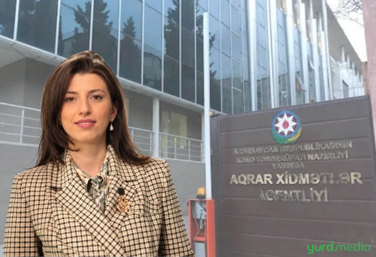Agentliyə gələndən 9 ay sonra şöbə müdiri təyin edildi