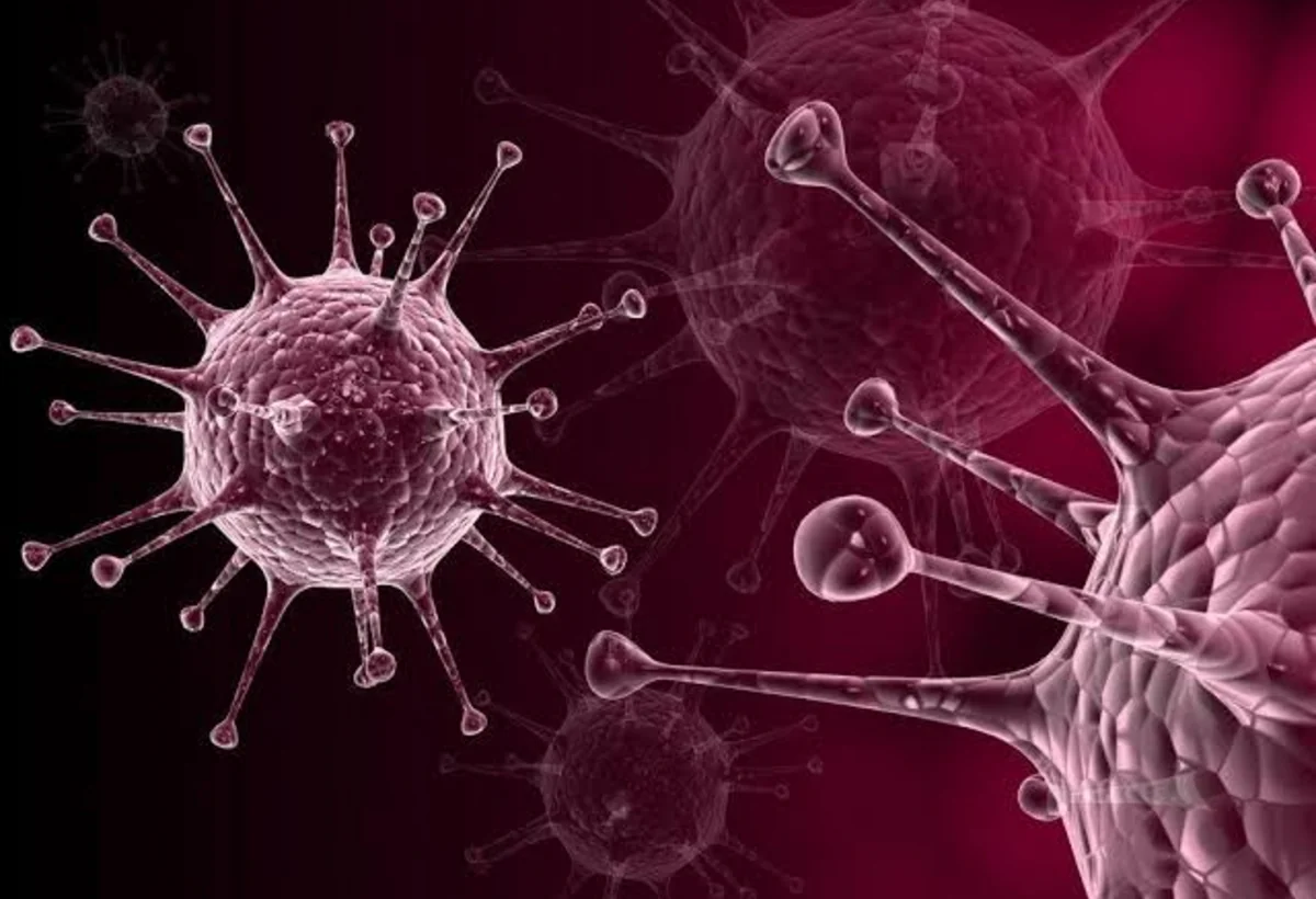 Süni intellekt 162 mindən çox yeni virus növü tapdı