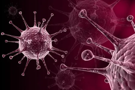 Süni intellekt 162 mindən çox yeni virus növü tapdı