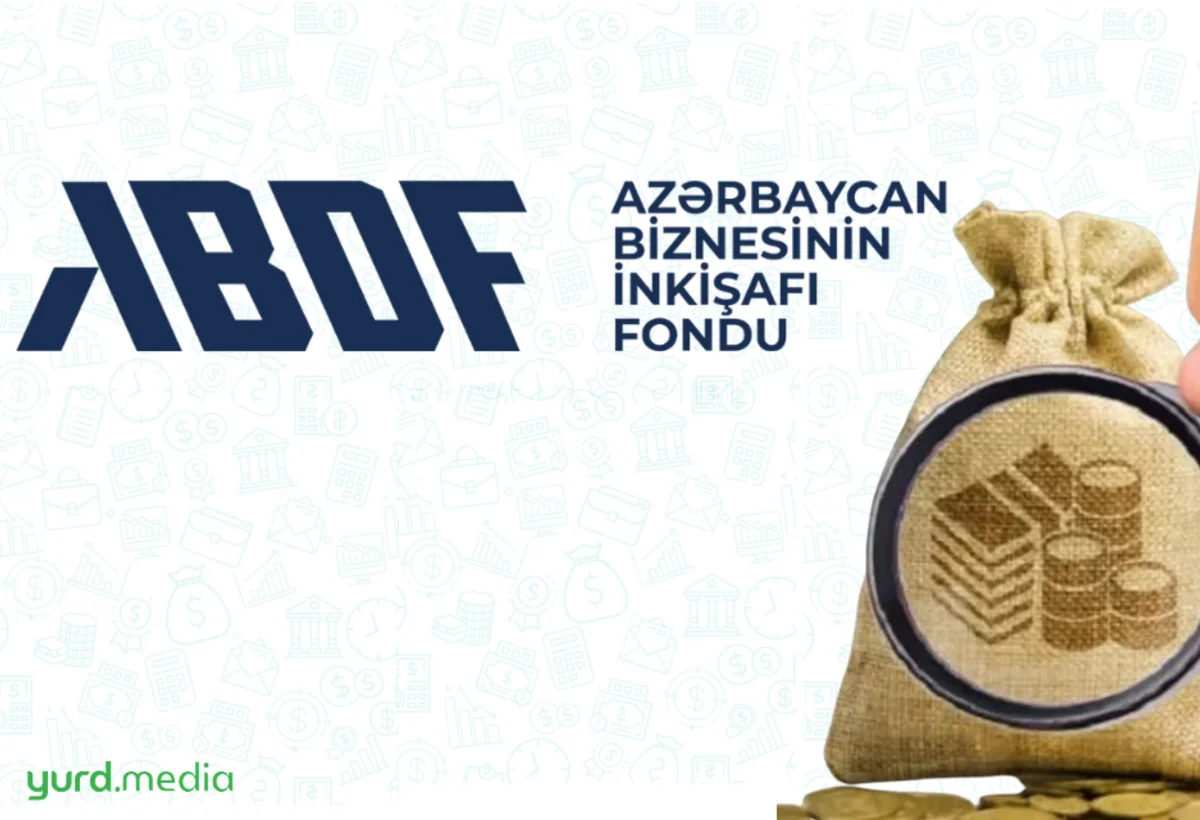 “Azərbaycan Biznesinin İnkişafı Fondu”nun nizamnamə kapitalı necə formalaşacaq?