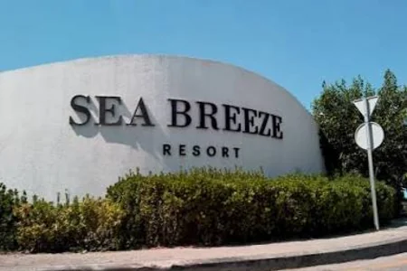 “Sea Breeze-ə daxil olan şirkətlər dövlətə borclanıb