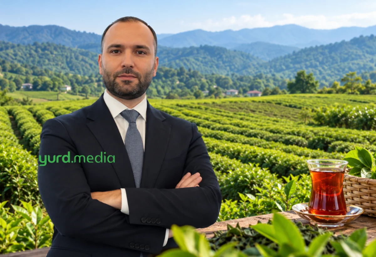 Azərbaycanda məşhur çay istehsalçısına yeni baş direktor təyin olundu