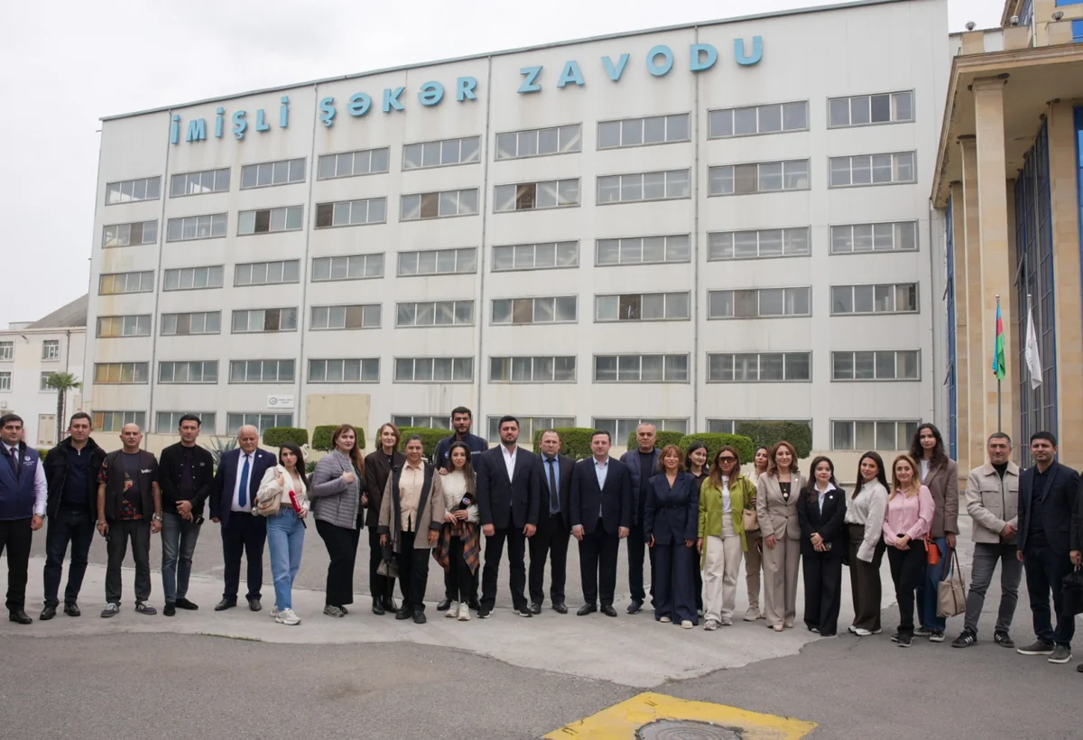 Tarladan süfrəyə: şəkər çuğundurunun zavodda keçdiyi yol - REPORTAJ