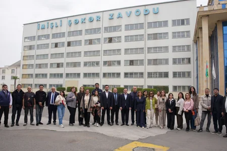 Tarladan süfrəyə: şəkər çuğundurunun zavodda keçdiyi yol - REPORTAJ